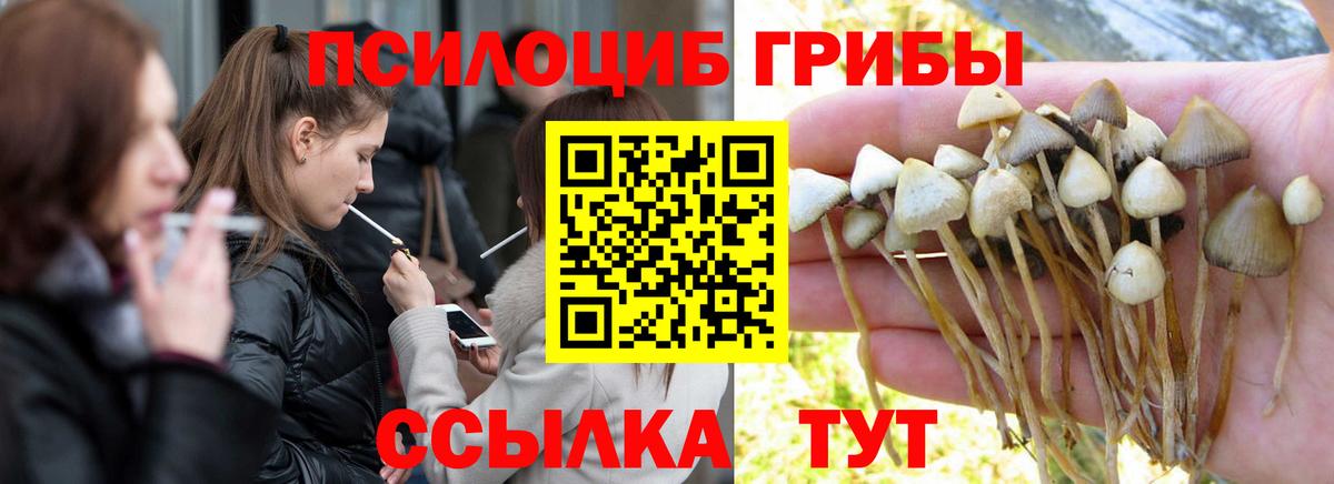 Аша  Псилоцибиновые грибы ЛСД  Псилоцибиновые грибы GOLDEN TEACHER  Вход с VPN 
