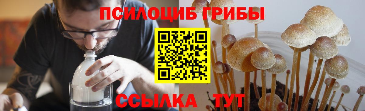 Галлюциногенные грибы прущие грибы Аша
